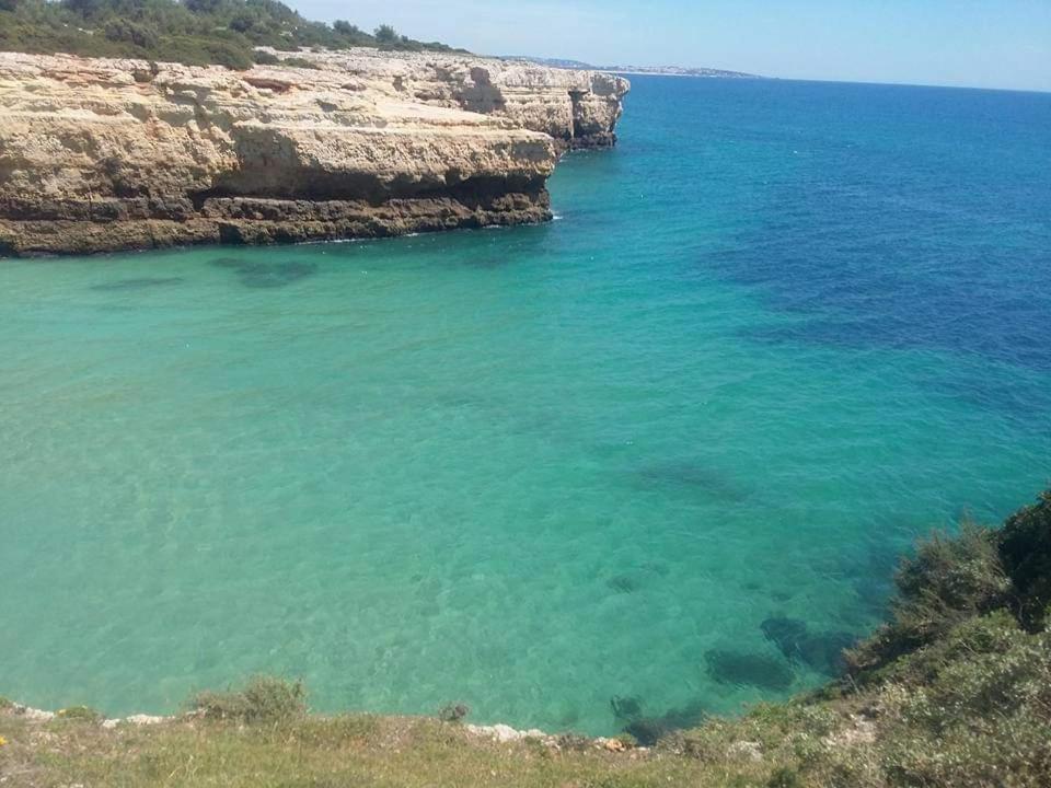 Al Algarve - Alojamento Local Com Excelente Localizacao Carvoeiro  Eksteriør bilde