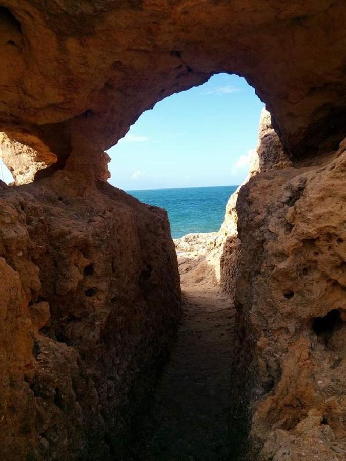 Al Algarve - Alojamento Local Com Excelente Localizacao Carvoeiro  Eksteriør bilde