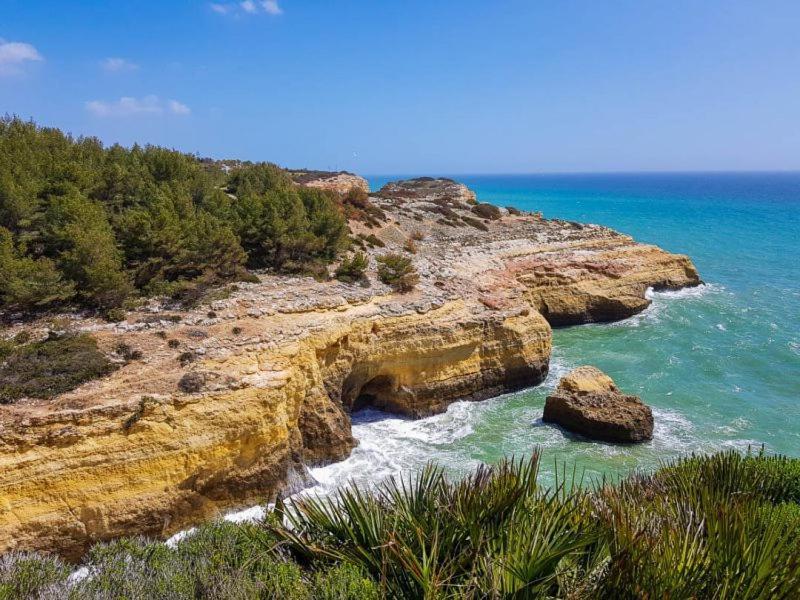 Al Algarve - Alojamento Local Com Excelente Localizacao Carvoeiro  Eksteriør bilde